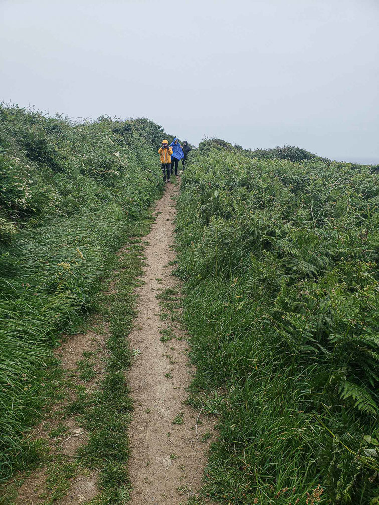 Coastal Walk in the Rain  20190611_162250
