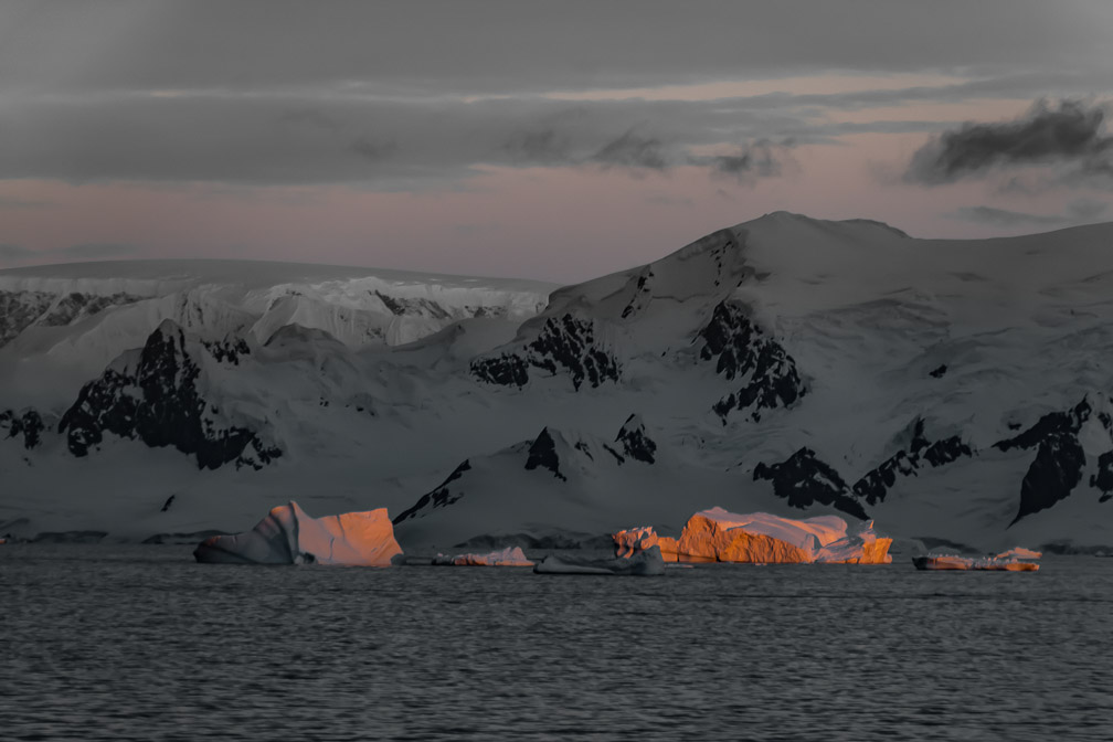 The Sunset illuminates the icebergs0681