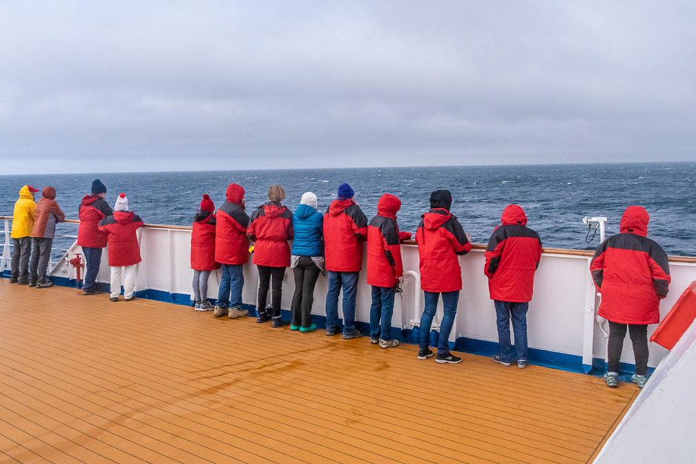 Watching whales on the Drake Passage 8763