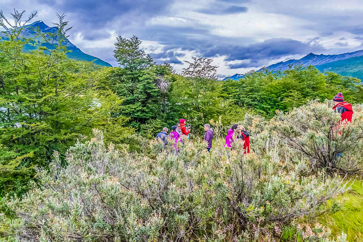 A walk in the Park - Tiera del Fuego NP 8275