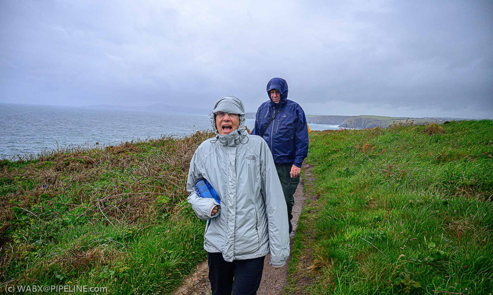 Coastal Walk in the Rain   1372