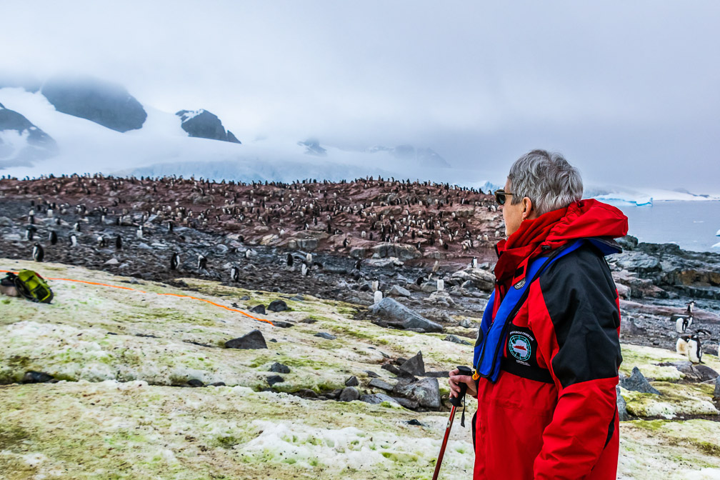 1237  1238  1239  Too Many to Count 9018