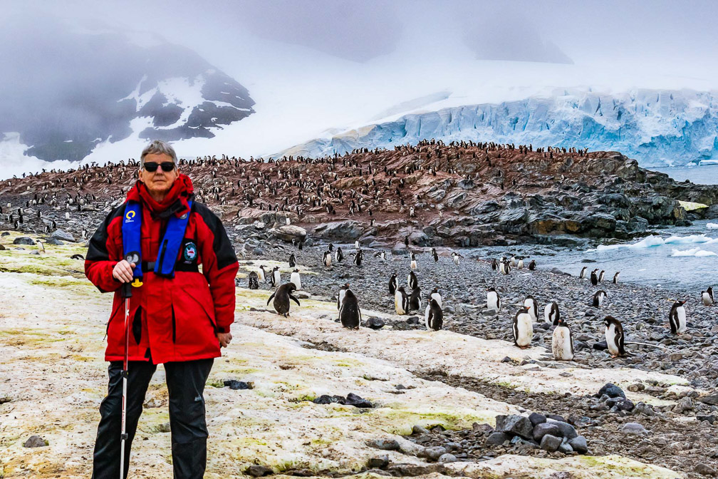 A lot of penguins in that rookery 8995