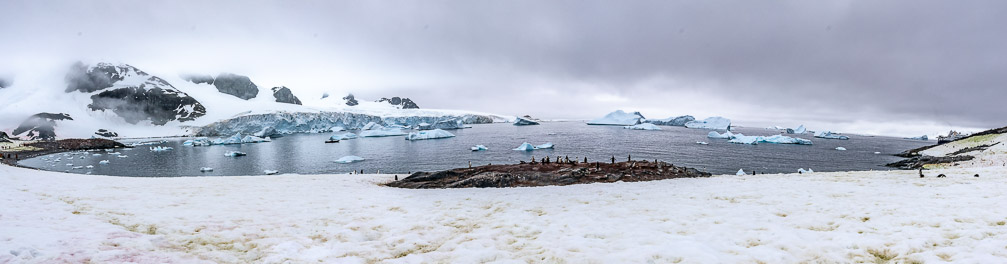 A penguins view of the bay  9072