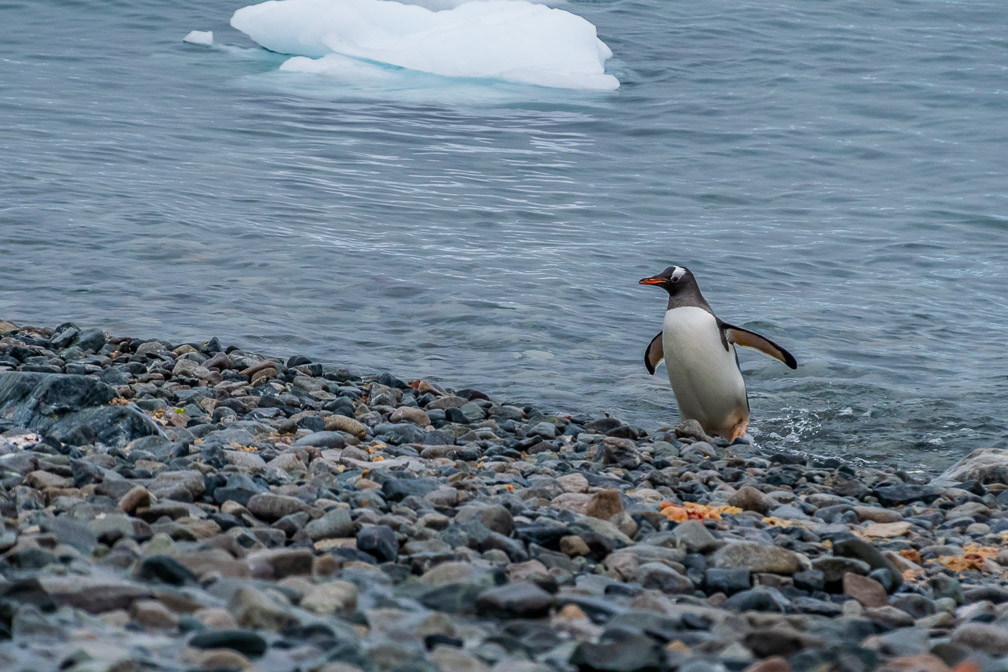 That water is cold 9005