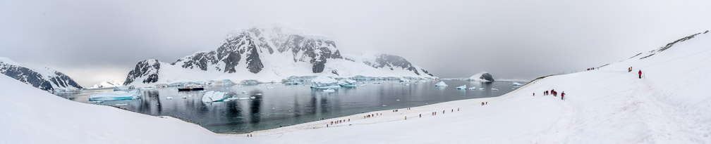 That Red Penguin Highway was Long and Slippery  0150
