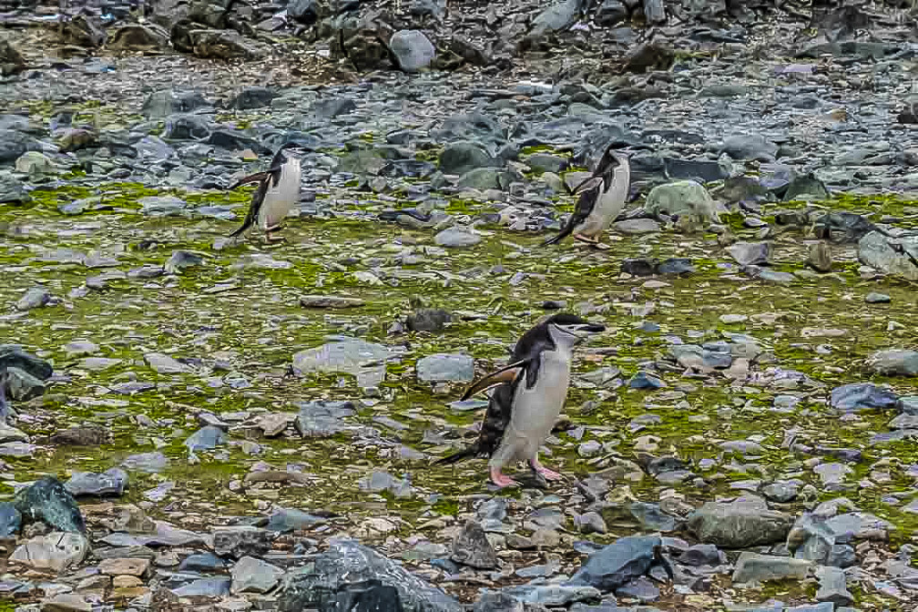 Places to go and things to do   1224