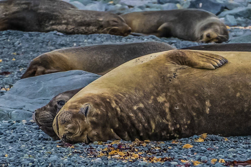 We arent sleeping just cooling off    1169