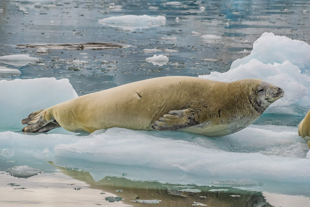 Every so often I have to stretch    0483