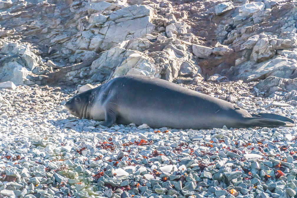 High and Dry - Catchin some Rays  9868