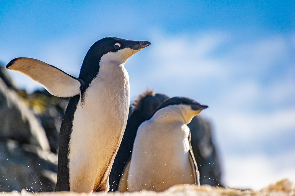 Watching Me Watching You  9936