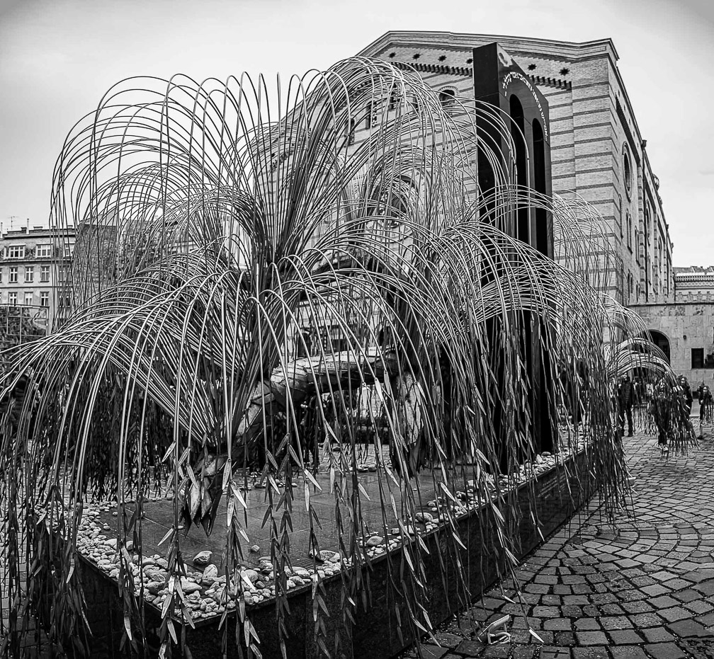 NZ6_2992-Pano