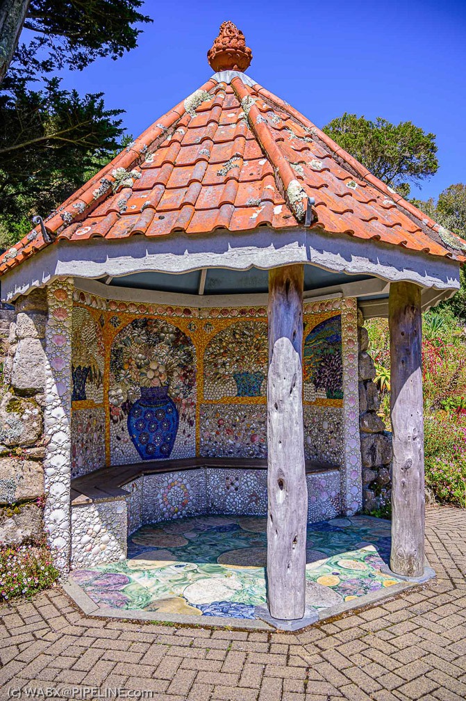 Ohhh the Shells  0997