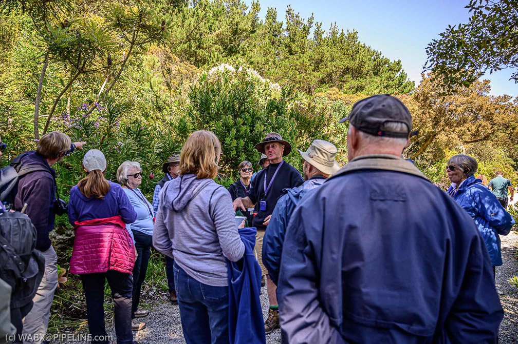 The Head Gardner shows us around Tresco  1022