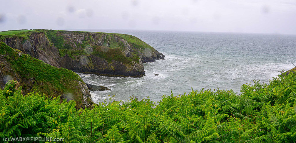 Coastal Walk in the Rain   1338