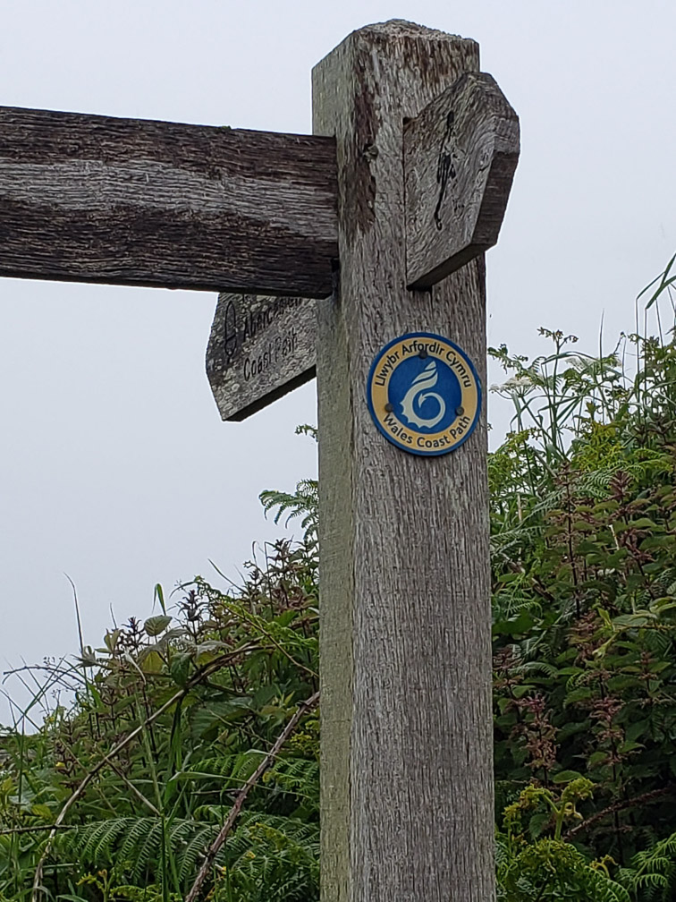 Coastal Walk in the Rain  20190611_160535